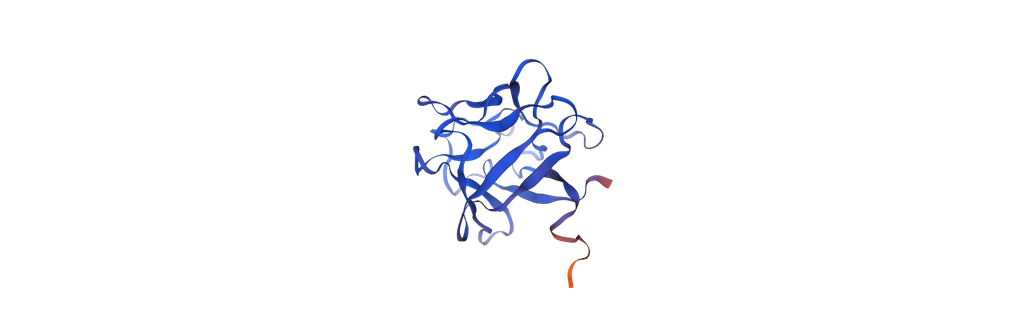 Recombinant Human Basic Fibroblast Growth Factor (OsrhbFGF) - 50 ug
