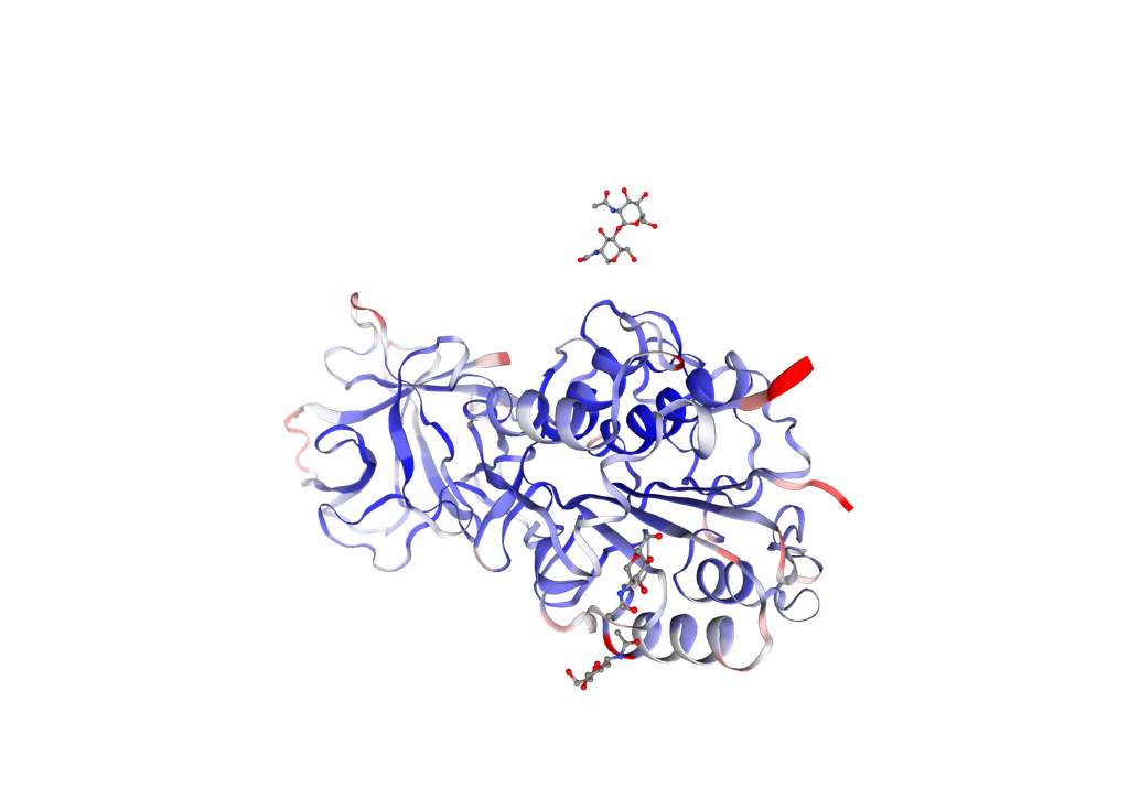 Recombinant Human Legumain (LGMN) - 1 mg