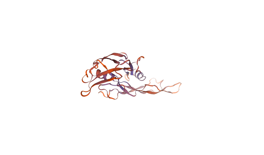 Recombinant Mouse Muellerian-inhibiting factor (Amh), partial (450-552aa), N-terminal 6xHis-tag, E. coli expression - 20 ug
