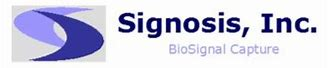 [0350-EA-4003] Mouse Cytokine ELISA Plate Array I (Chemiluminescence) - 4 Samples