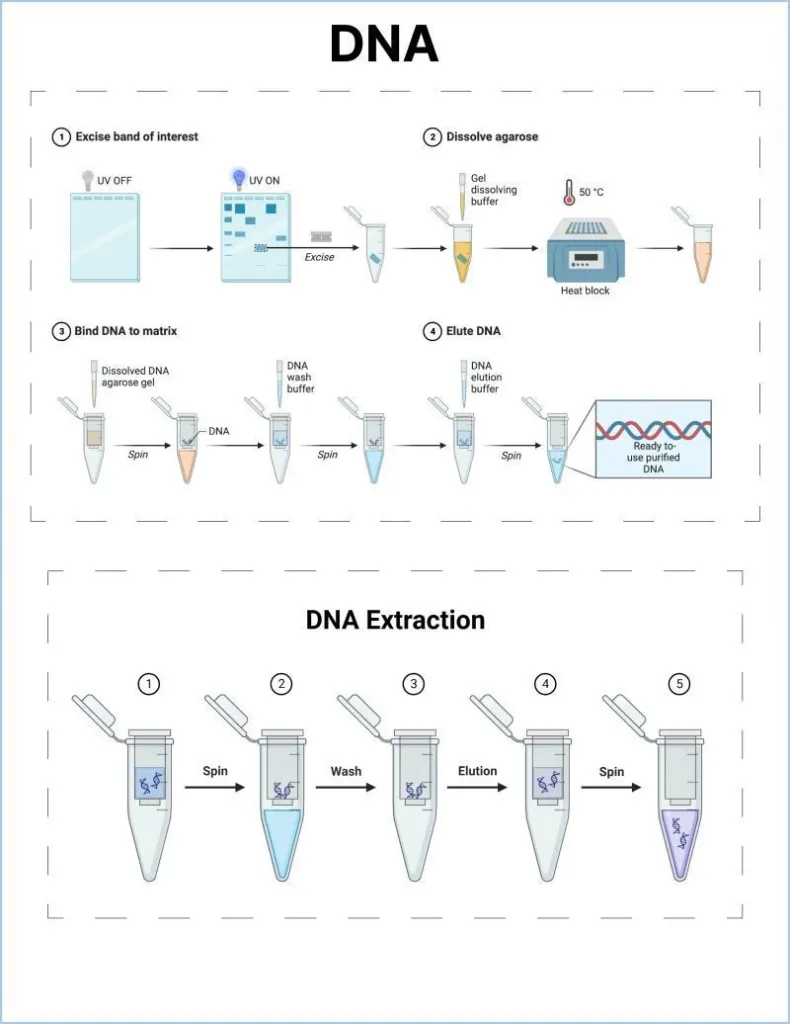 Endotoxin-Free Plasmid Miniprep Kit - 50 extractions