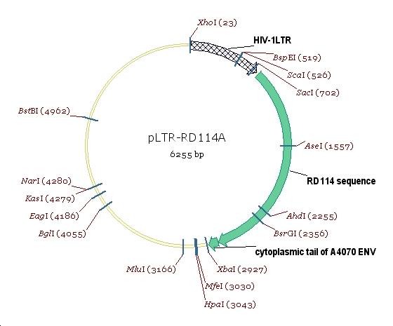 PLTR- RD114A, 2 ug