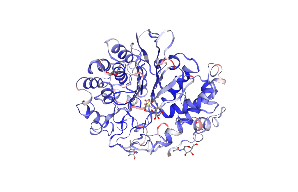 Recombinant human Gamma-Glutamyltransferase 1 (gGT1) - 200 ug