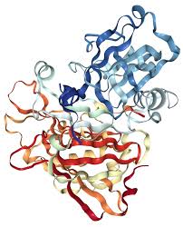 [0035-ENZ-1119-50UG] Recombinant Human Beta-Secretase 1 (BACE1) - 50ug