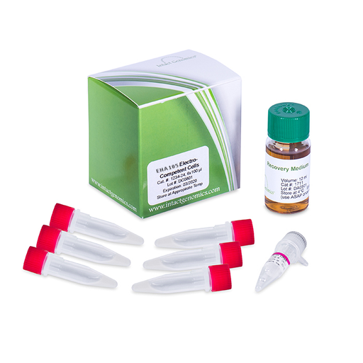 [0774-1084-06] EHA105 Chemically Competent Agrobacterium, 6X50ug